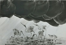 Tanmoy - Ink on Paper